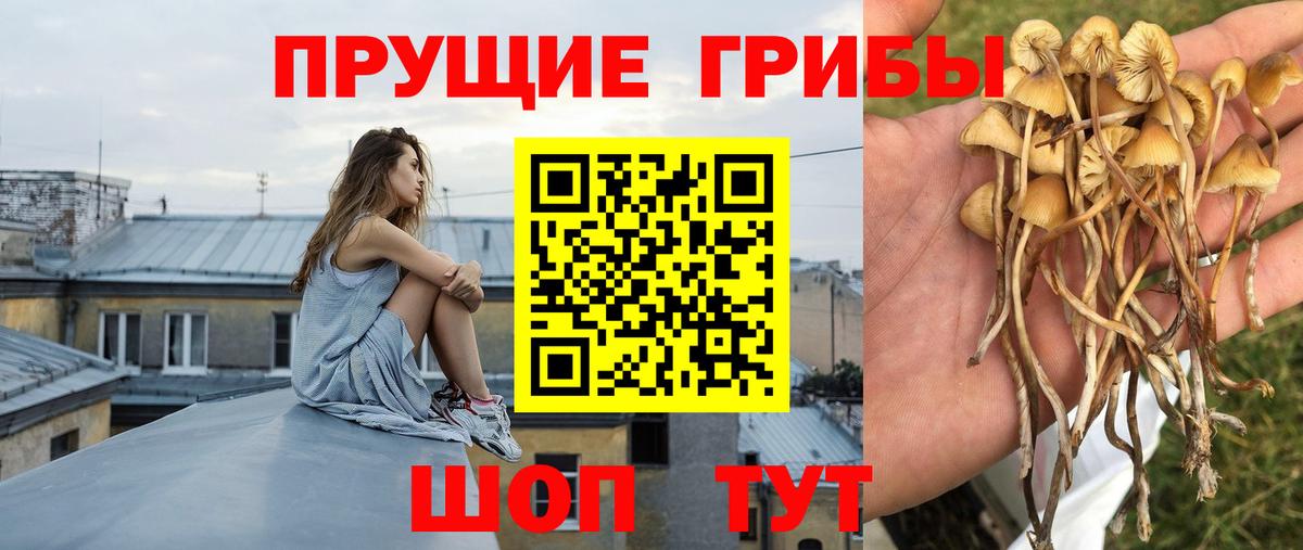 Псилоцибиновые грибы MAGIC MUSHROOMS Благодарный