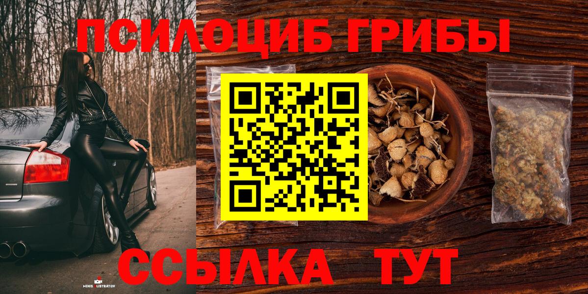 Благодарный  Псилоцибиновые грибы мухоморы  Вход с VPN 